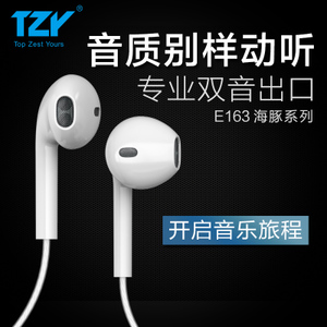 桐之音 TZY-E163