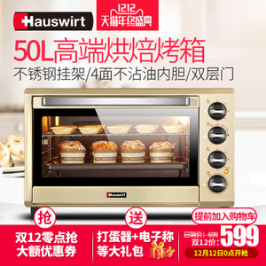 Hauswirt/海氏 HO-505
