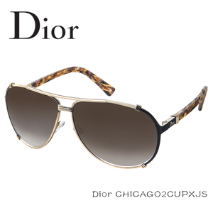 Dior/迪奥 Chicago2CN6EVQ-Glod
