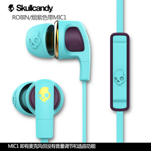 skullcandy ROBIN