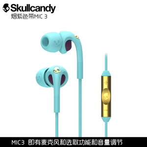 skullcandy ROBIN