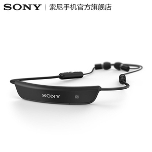 Sony/索尼 SBH80