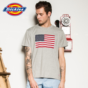 Dickies 161M30WD70