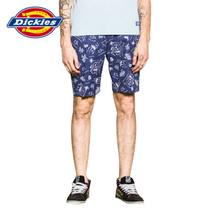 Dickies 162M40WD03