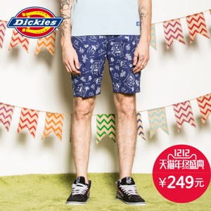 Dickies 162M40WD03