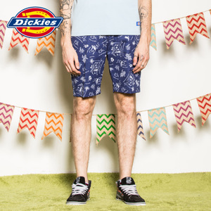 Dickies 162M40WD03