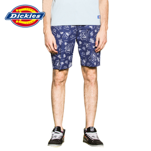 Dickies 162M40WD03