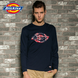 Dickies 163M30EC27