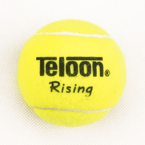 Teloon/天龙 Rising