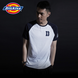 Dickies 162M30NP03A