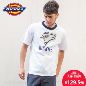 Dickies 163M30WD17