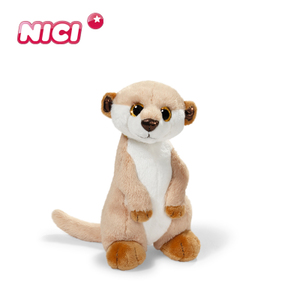 NICI hbn-001