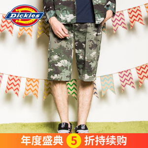 Dickies 161M40WD14