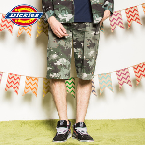 Dickies 161M40WD14