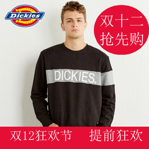 Dickies 163M30EC41