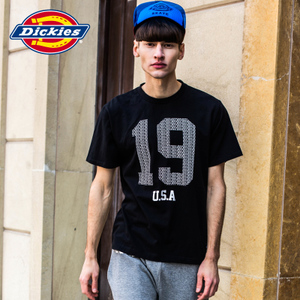 Dickies 162M30EC46