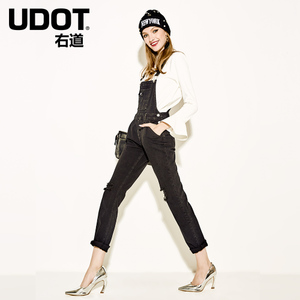 Udot/右道 UJCS4UU9079