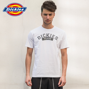 Dickies 163M30WD09