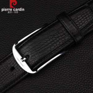 Pierre Cardin/皮尔卡丹 PEA809204DYA