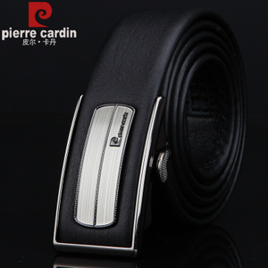 Pierre Cardin/皮尔卡丹 PEA806102BYA