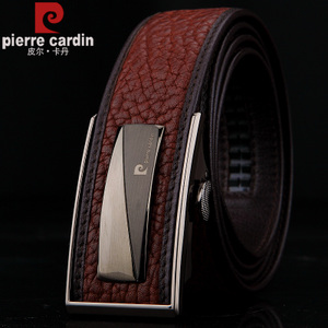 Pierre Cardin/皮尔卡丹 PEA805106BYB