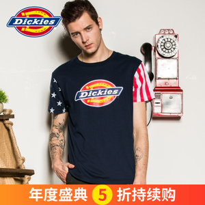 Dickies 161M30WD69