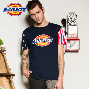 Dickies 161M30WD69