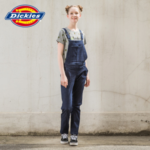 Dickies 163W40EC03