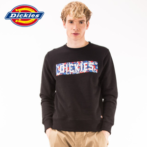 Dickies 161M30WD07