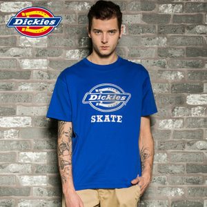 Dickies 161M30WD47