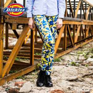 Dickies 153W10EC06-BG