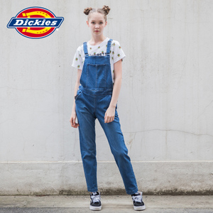 Dickies 163W40EC04