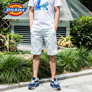 Dickies 152M40EC03-LB