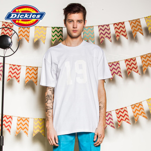 Dickies 161M30WD41