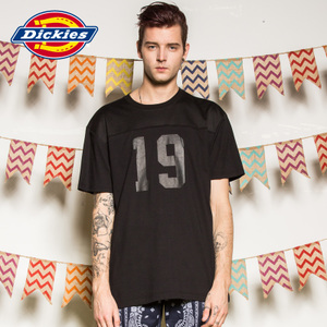 Dickies 161M30WD41