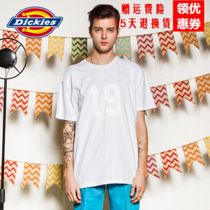 Dickies 161M30WD41