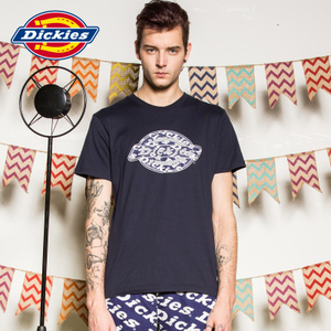 Dickies 161M30WD42