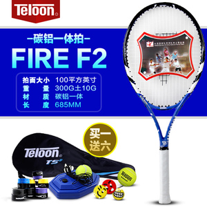 Teloon/天龙 F2-1