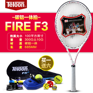 Teloon/天龙 F3-1