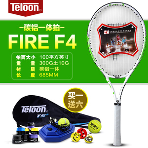 Teloon/天龙 F4-1