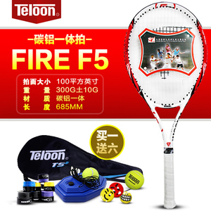 Teloon/天龙 F5-1
