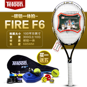 Teloon/天龙 F6-1