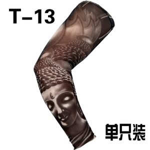T-13