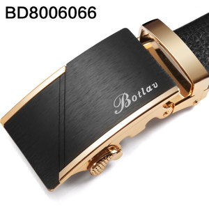 BD8006066