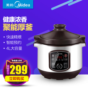 Midea/美的 MD-WTGS403