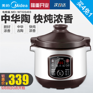 Midea/美的 MD-WTGS403