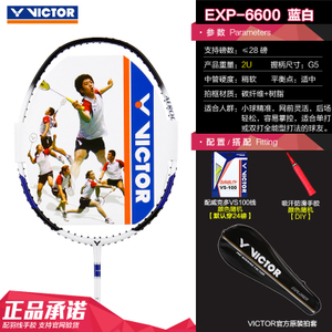 VICTOR/威克多 EXP-6600