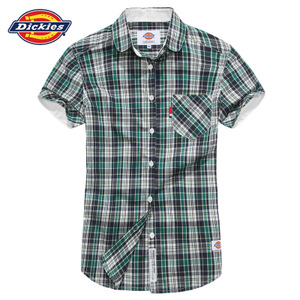 Dickies 132W20WD02-GR