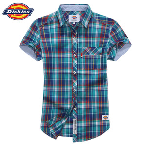 Dickies 132W20WD06-EG