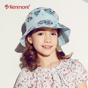 kenmont E8812KM4896